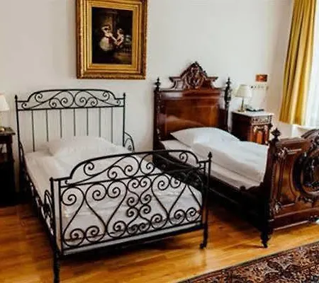 Wilder Mann Hotel 4*