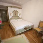 Wilder Mann Πασάου