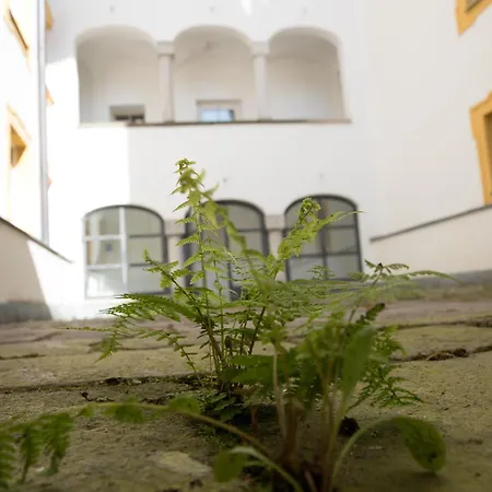 Wilder Mann Szálloda Passau