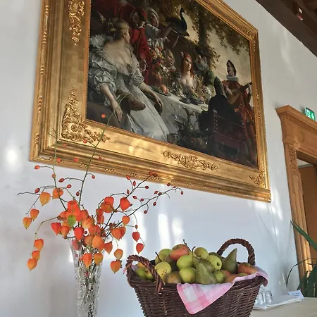 Wilder Mann Hotel 4*