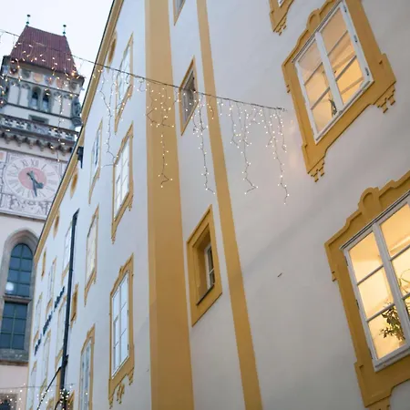 Wilder Mann Otel Passau