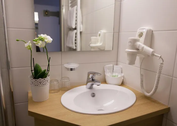 Ξενοδοχείο Wilder Mann 4*